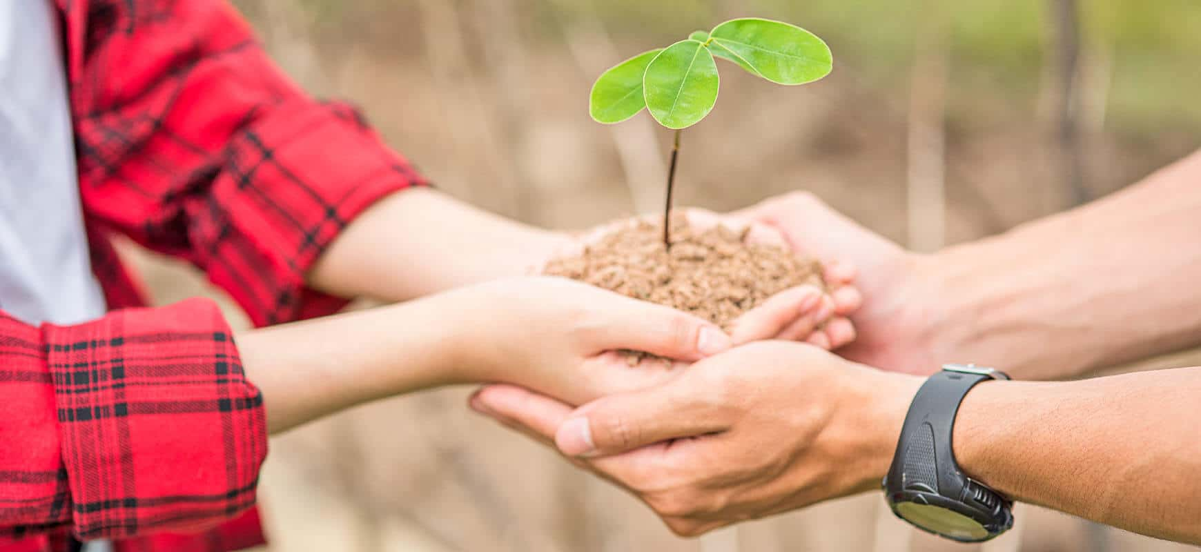 fidanbagisi Responsabilité Sociale Hospitadent