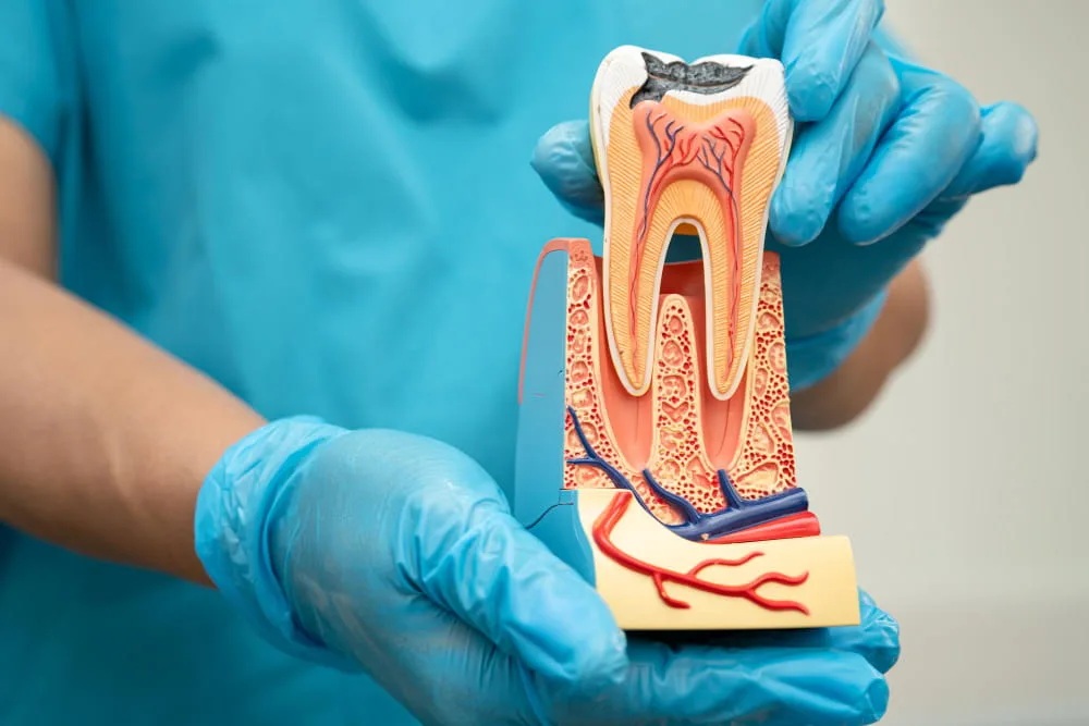 root canal retreatment